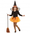    Witch Fairy 