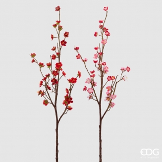 ������������ ����� �������� �� 2 ������� 70��