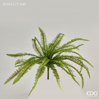 ������������ ����� ����� 40��