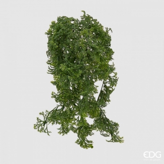 ������������ ���� ������ 20��