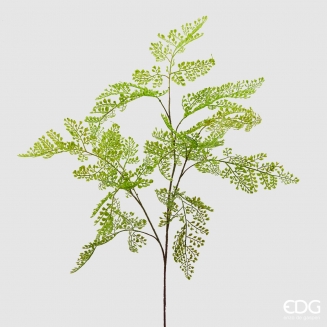 ������������ ����� ����� 105��