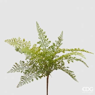 ������������ ����� ���� 45��