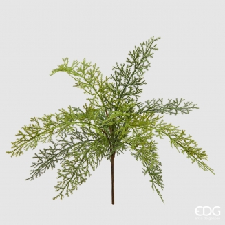 ������������ ����� ���� 45��