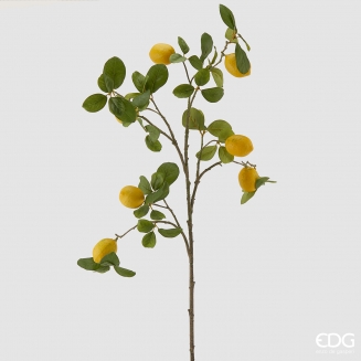 ������������ ����� ���� 110��