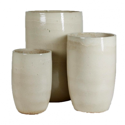 ������������ ����� �������� ��� �����