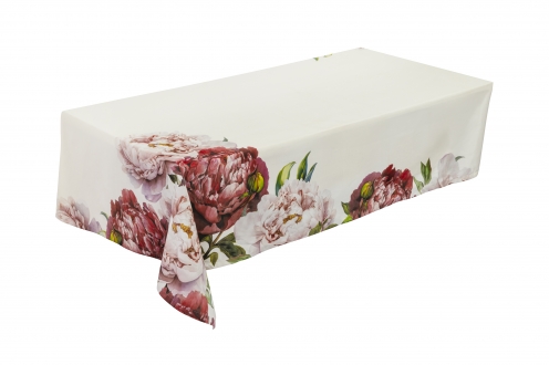 ������������ ��������������