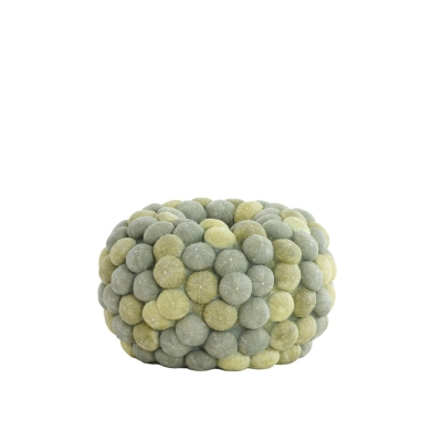 Sea Urchin   40 x 23,5