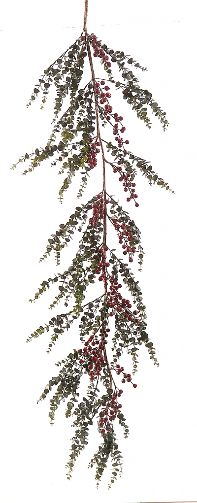    Berries 