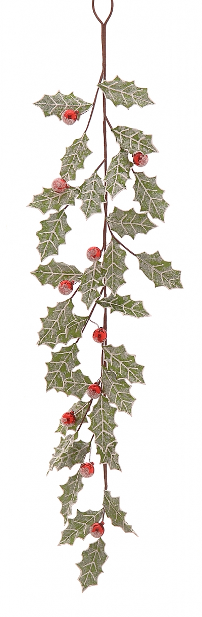     Berries  120