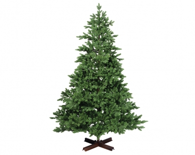   Rossland Fir 240