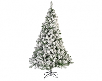   Imperial Pine Snowy 180