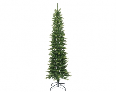   Slim Fir 240