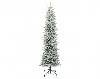   Slim Fir Snowy 240