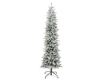   Slim Fir Snowy 240