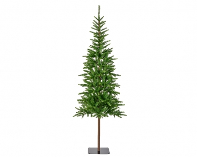   Alpbach Fir 180