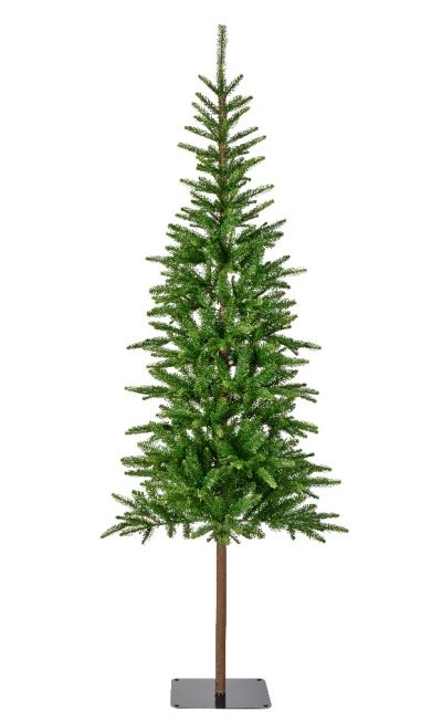 ����������������� ������ Alpbach Fir 240��