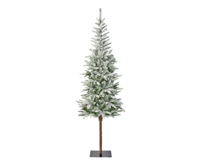   Alpbach Fir Snowy 210