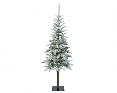   Alpbach Fir Snowy 240