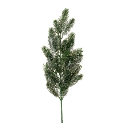     65