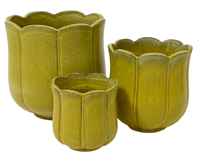 Blossom ������������ �������