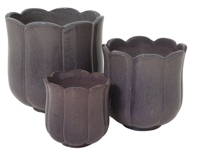 Blossom ������������ �������