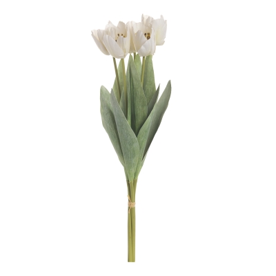 ������������ �������� ���������� �������� 48��