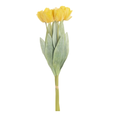 ������������ �������� ���������� �������� 48�� 