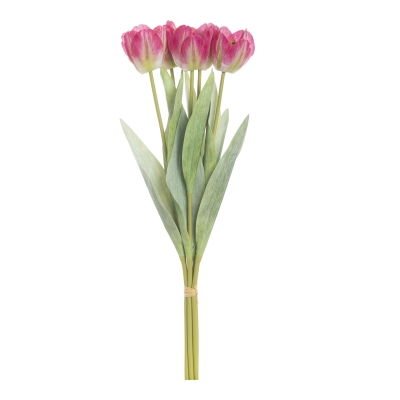 ������������ �������� ���������� �������� 48�� 