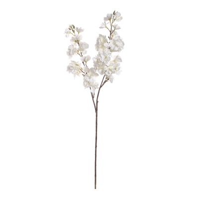 ������������ ����� Pesco 84��