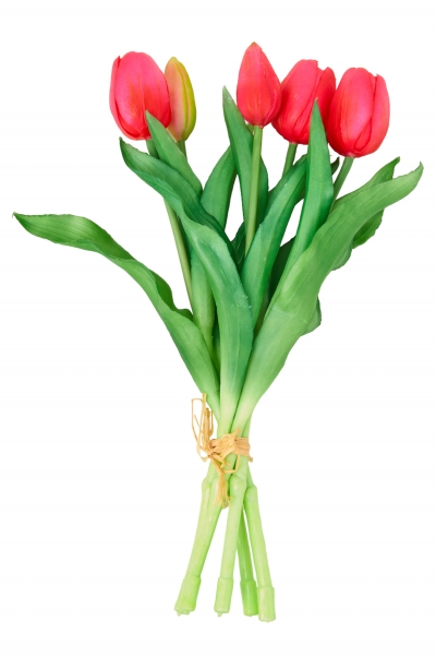 ������������ �������� ���������� �������� 30.5��