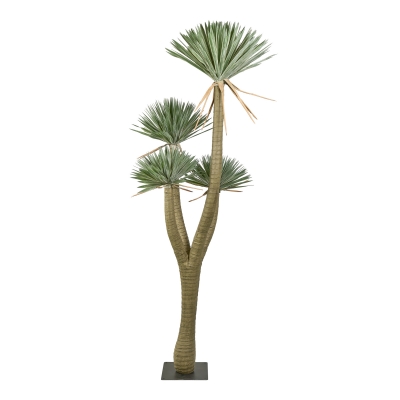 ������������ ������ Yucca 305��