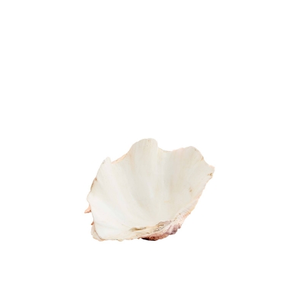 ������������ ������ 20�� x 12.5�� x 7.5��