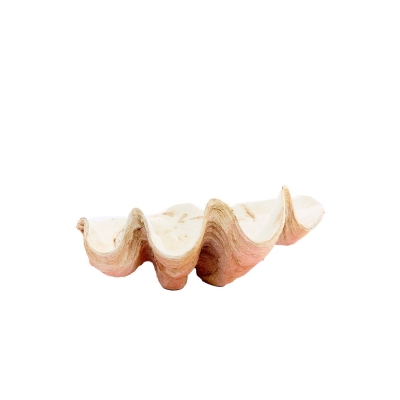 ������������ ������ 41�� x 25�� x 17��