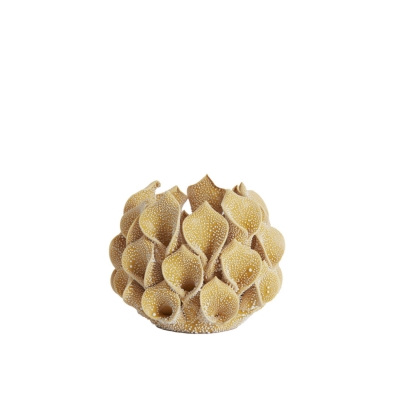 Soreja ������������ ��������� �10�� x 8��