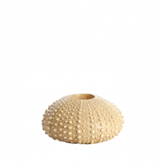 Sea Urchin ������������ ��������� 15�� x 8��