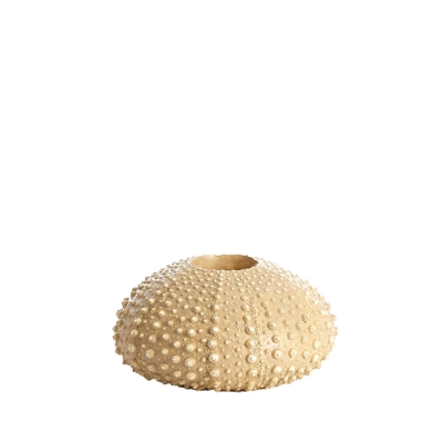 Sea Urchin ������������ ��������� 15�� x 8��