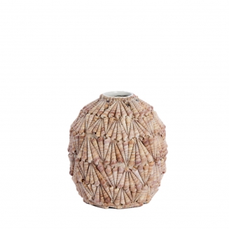 Shelly ������������ ���� �25.5�� x 28��