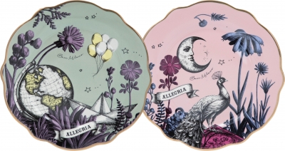 Allegria ��� 6 ��� ����� ������ � 21.5 ��