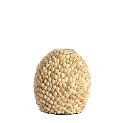 Shelly ������������ ���� �33�� x 37��