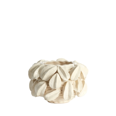 Carabola ������������ ���� �23�� x 18��