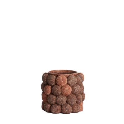 Sea Urchin ������������ ���� �20.5�� x 18��