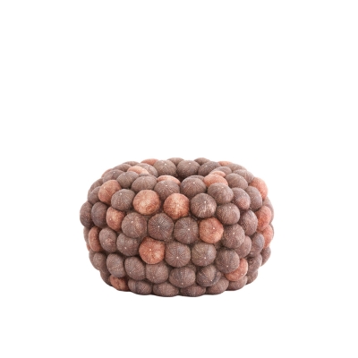 Sea Urchin ������������ ���� �40�� x 23.5��