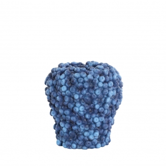 Berries ������������ ���� �25�� x 25��