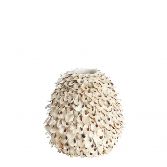 Ubate ������������ ���� �26�� x 27��
