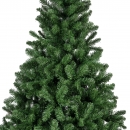    Imperial Pine 180 