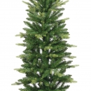    Slim Fir 240 