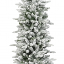    Slim Fir Snowy 210 