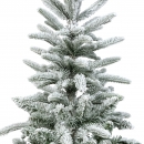    Alpbach Fir Snowy 180 