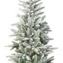    Alpbach Fir Snowy 210 