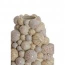  Sea Urchin ������������ ���� �29.5�� x 32�� 
